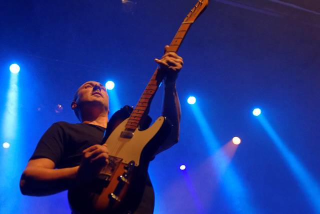 Rat guitare hero