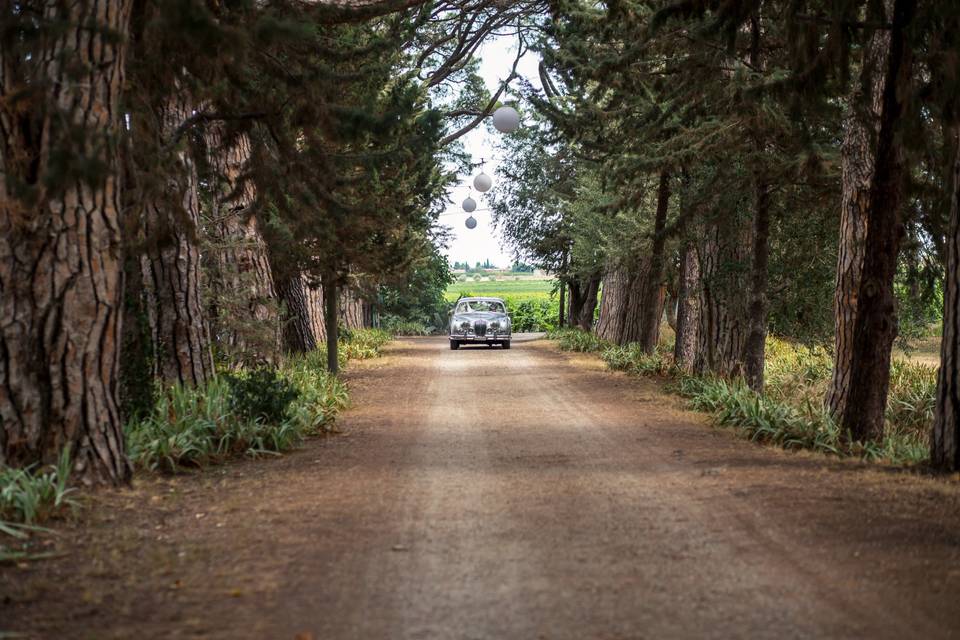 L'arrivée des mariés