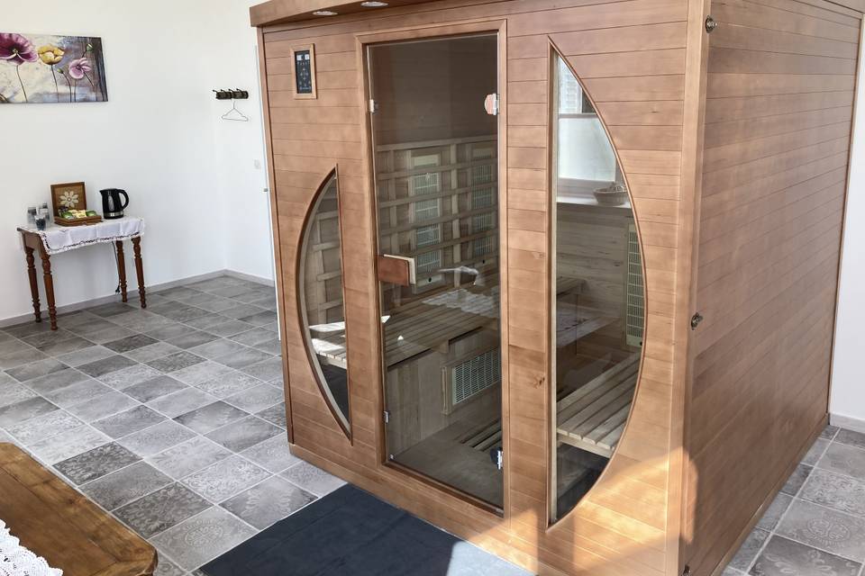 Sauna professionnel 6 personne