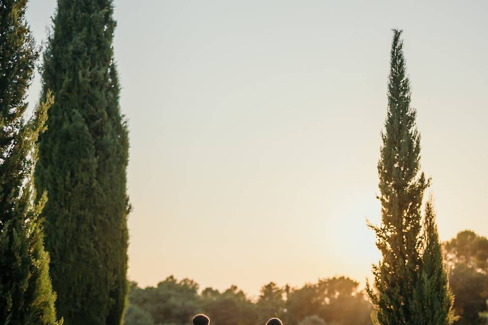 Les Vagabonds du Love