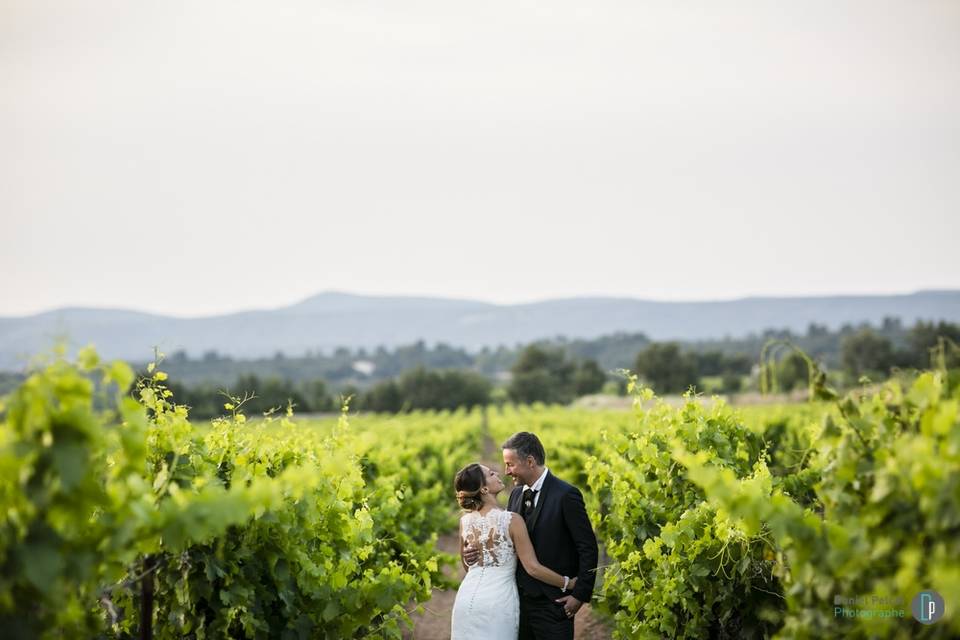 Photos mariés Château de Roquefeuille