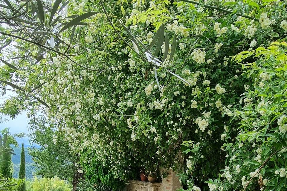 Entrée du patio