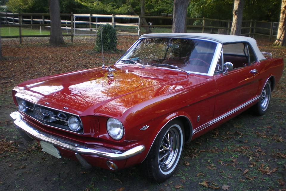 Mustang Cabriolet 1965