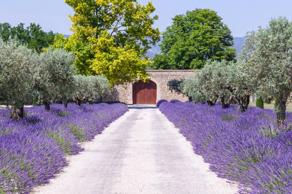 Les plus belles régions