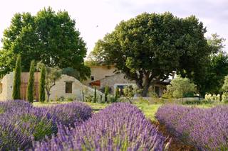 Domaine d’Egenia