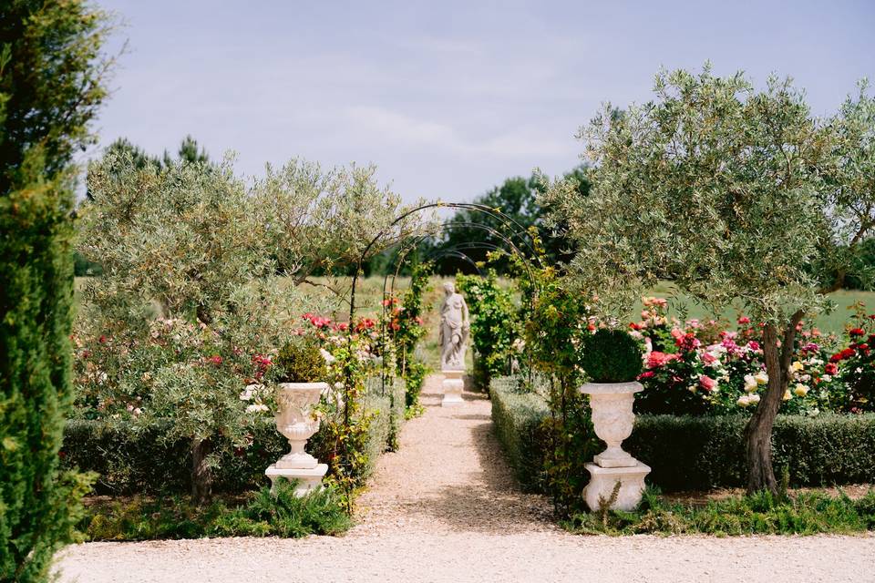 Rosiers