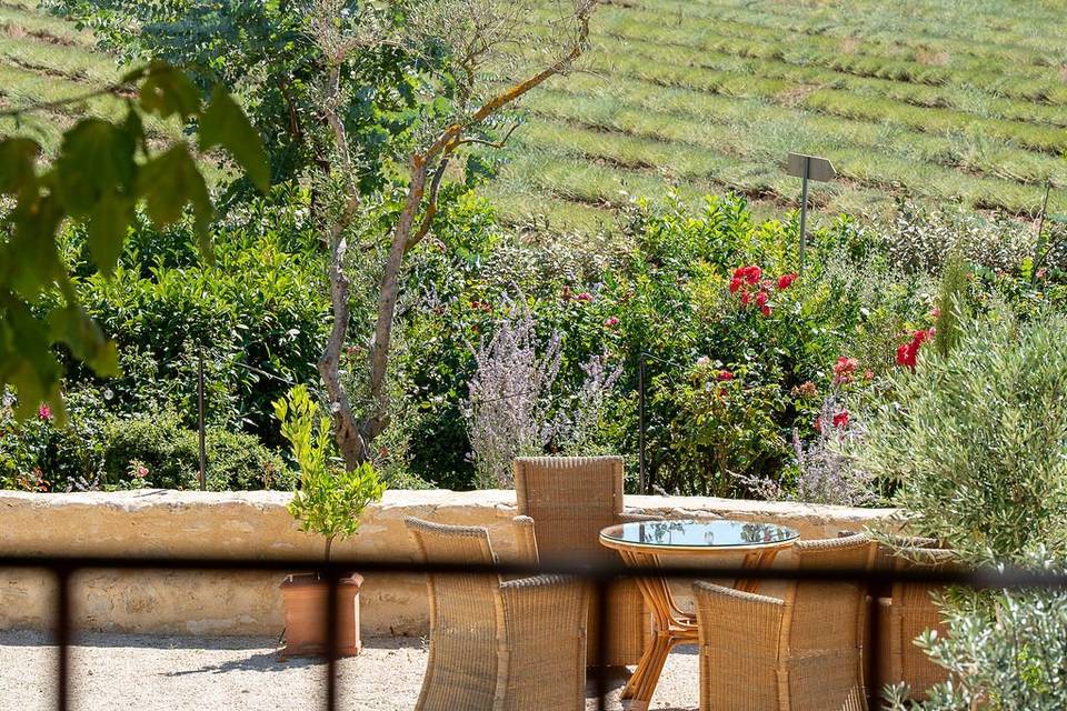 Domaine