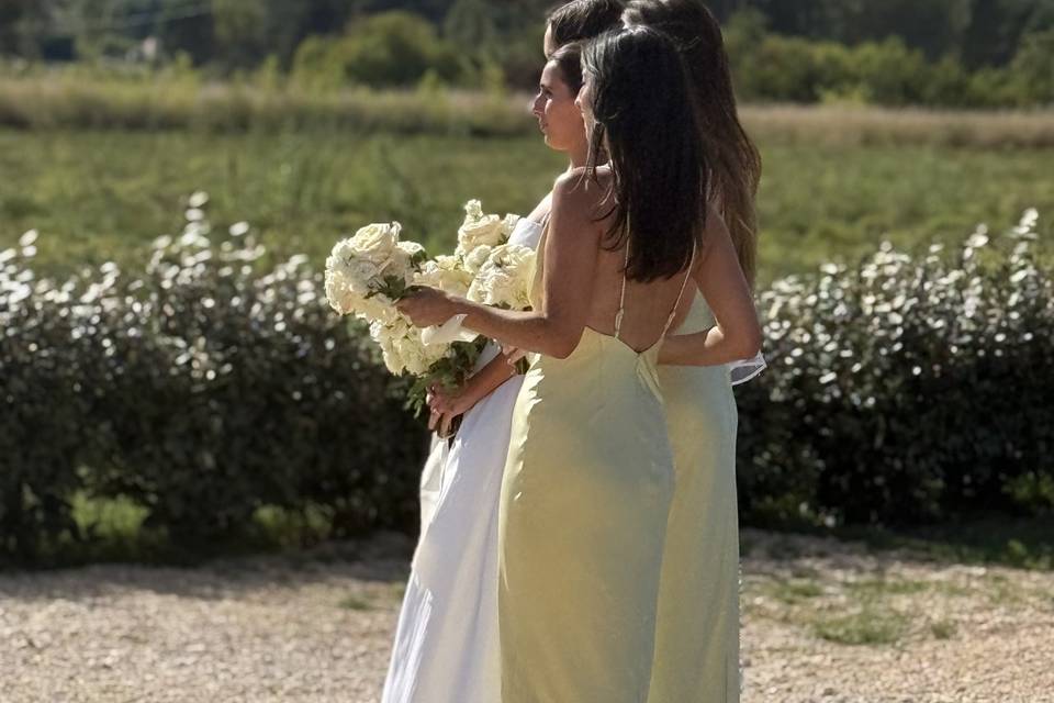 Photos