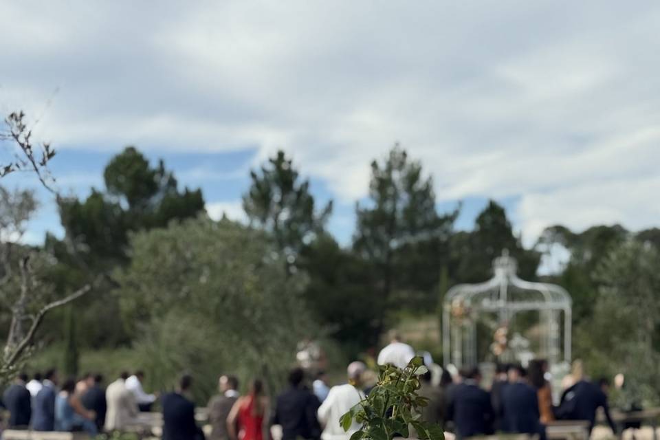 Cérémonie