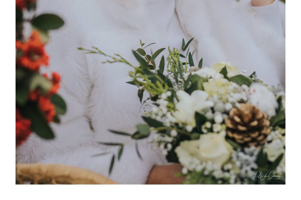 Mariage dans les Alpes