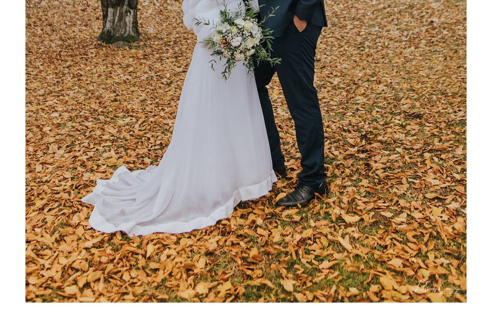 Mariage dans les Alpes