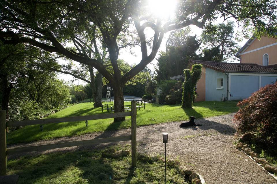 Terrasse au vert