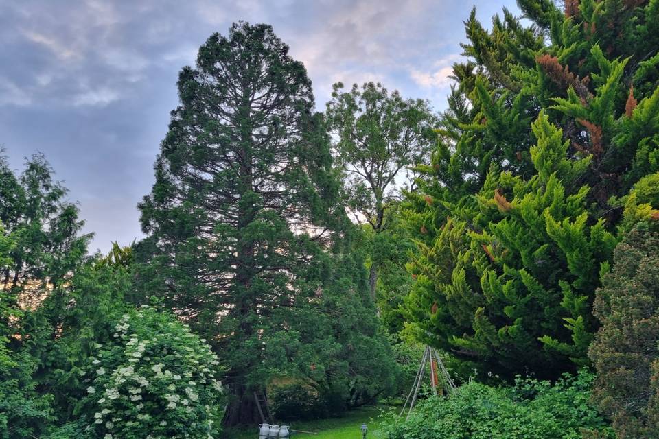 Jardin Séquoia