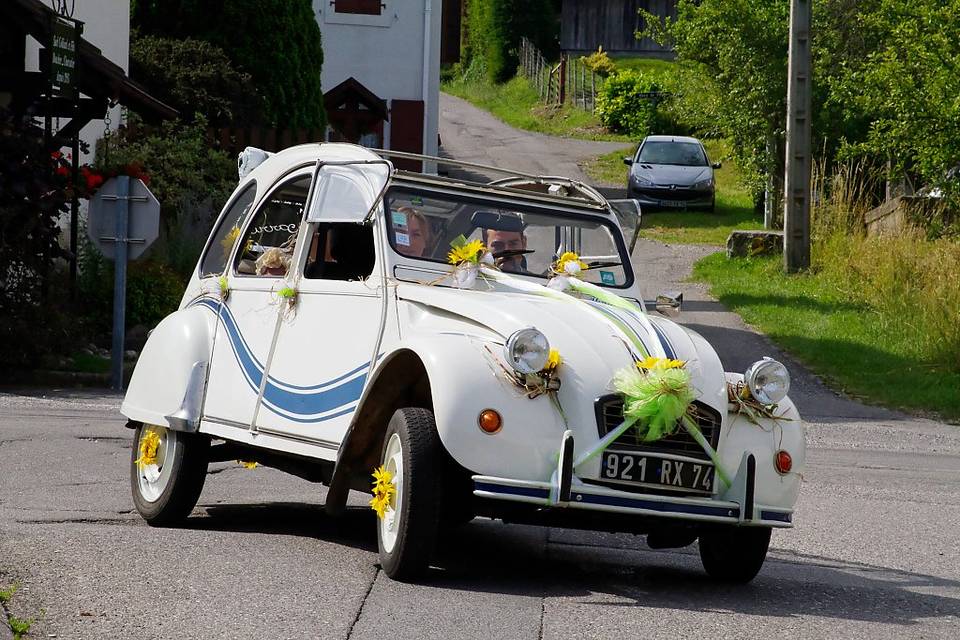 2 cv !