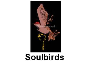 Soulbirds