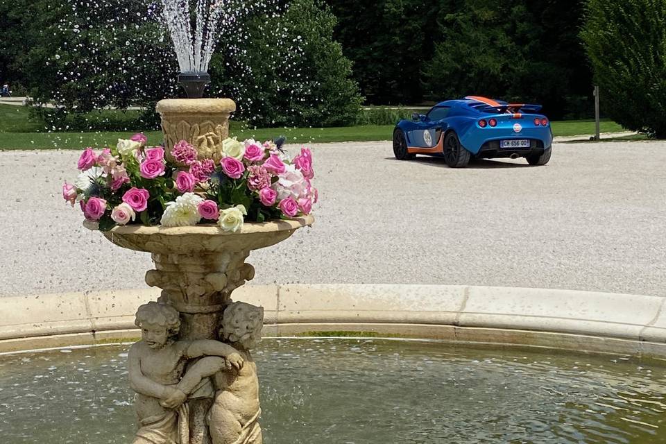 Fleurs fontaine