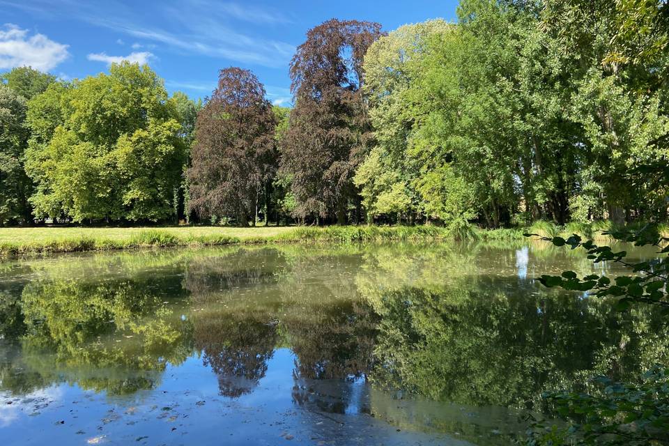 Etang et parc