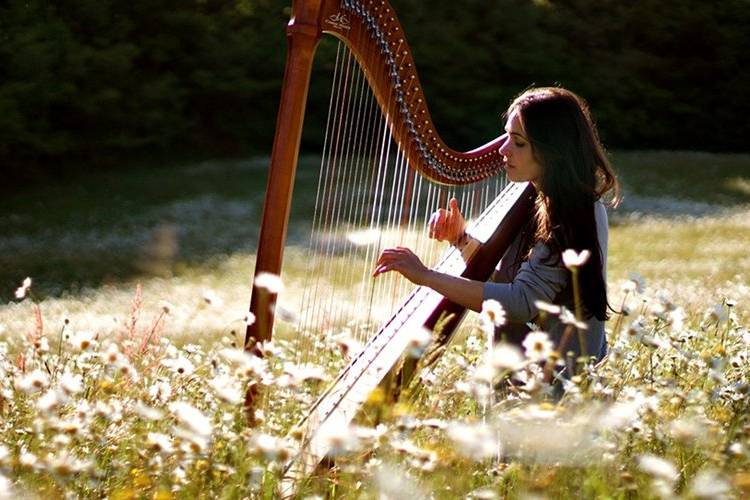 Concert dans la nature