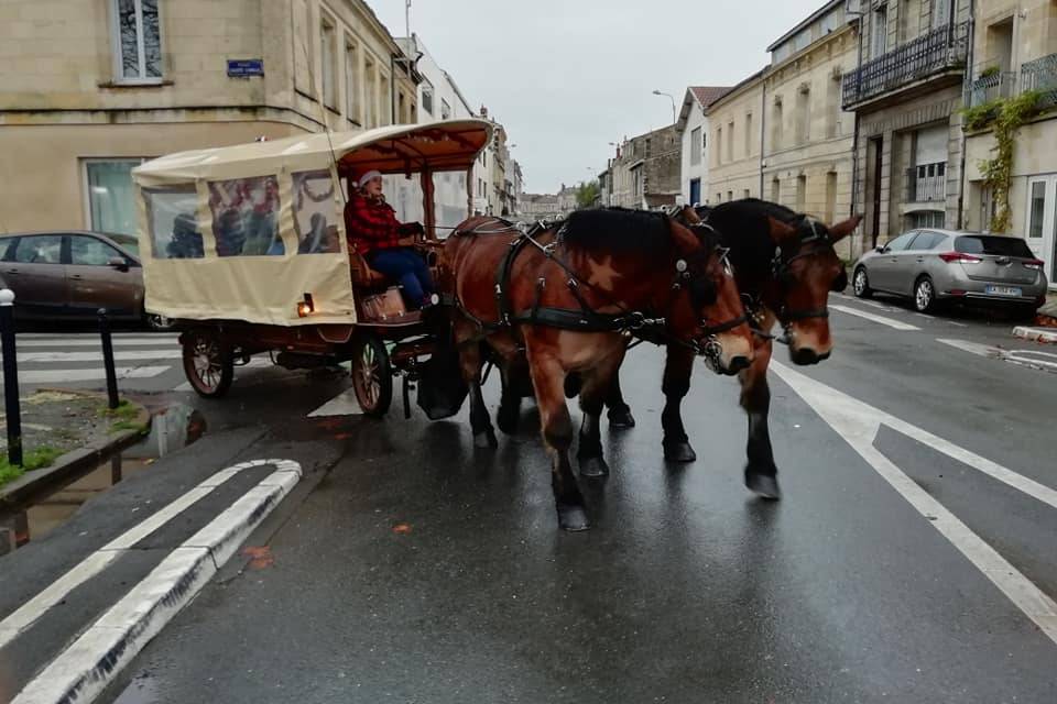 Les calèches de Marine