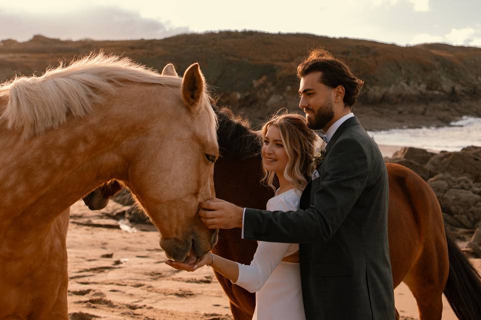 Mariage avec des chevaux