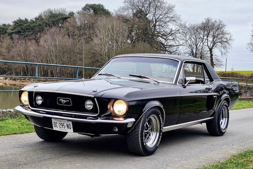 Mustang noir