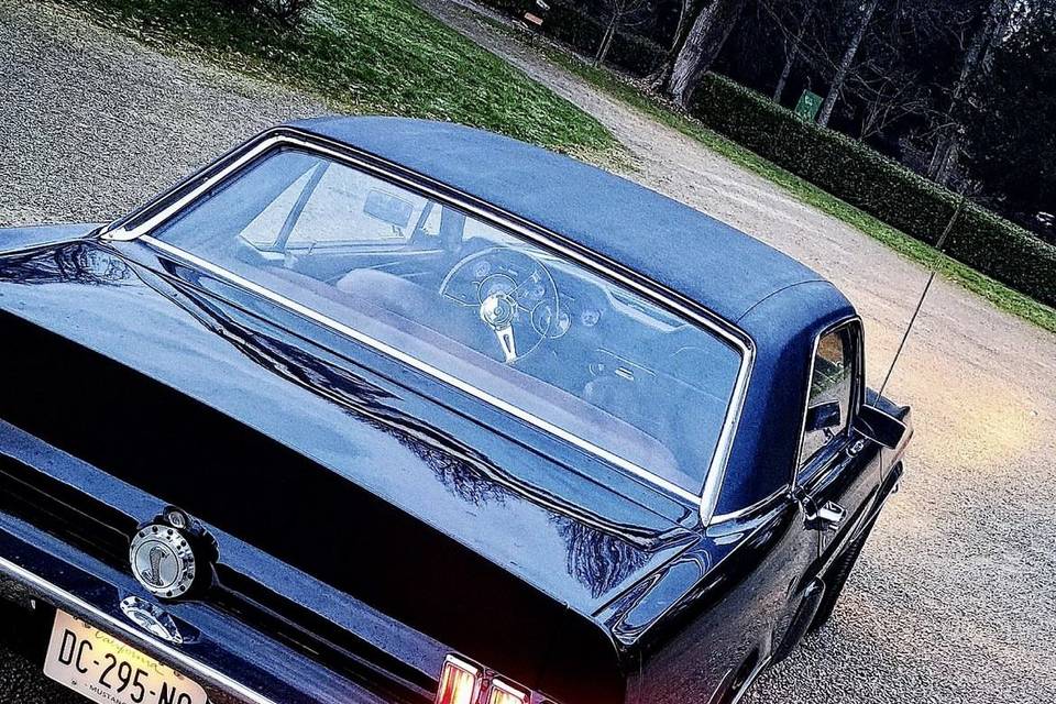 Mustang noir