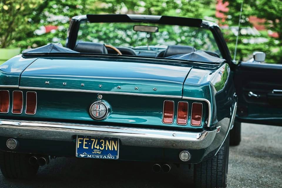 Mustang verte