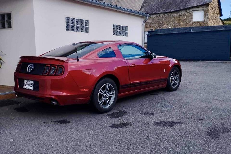 Mustang