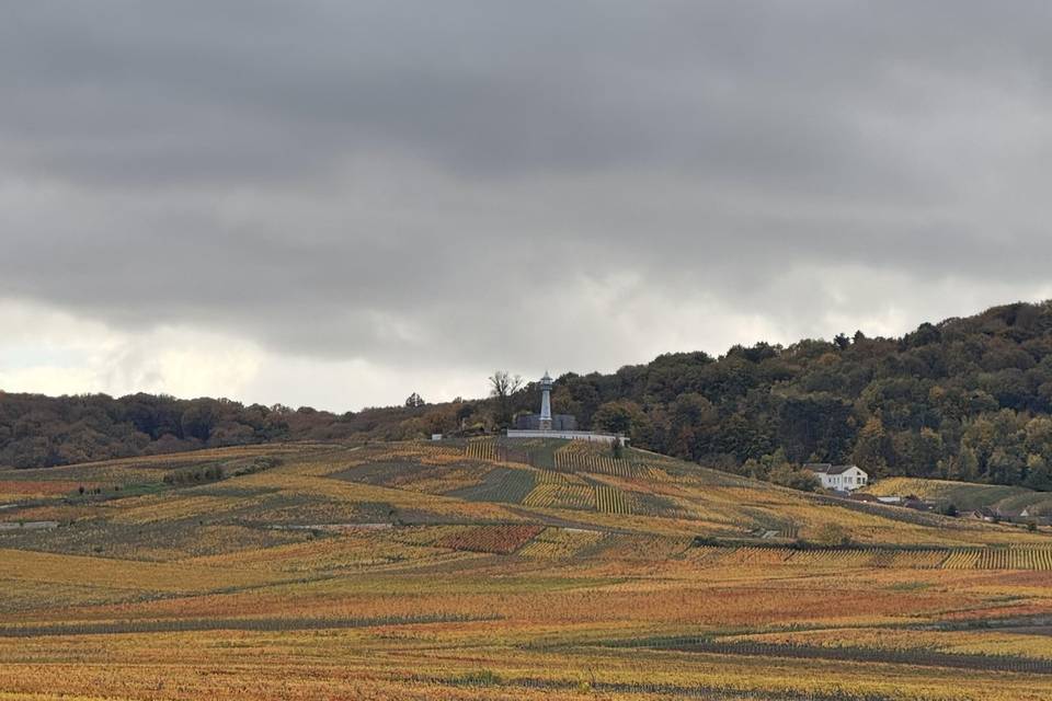 Reims et ses vignobles