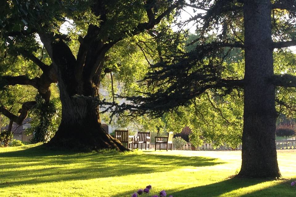 Buffet dans le parc