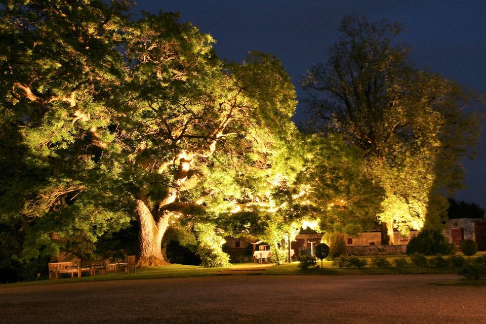 Le parc éclairé la nuit