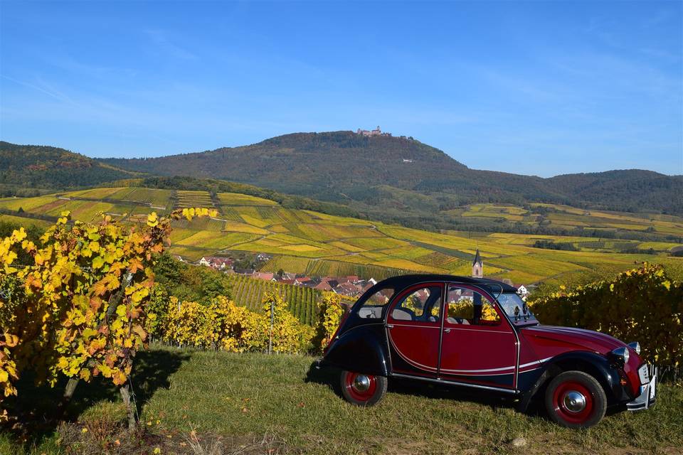 Alsace en Deuche