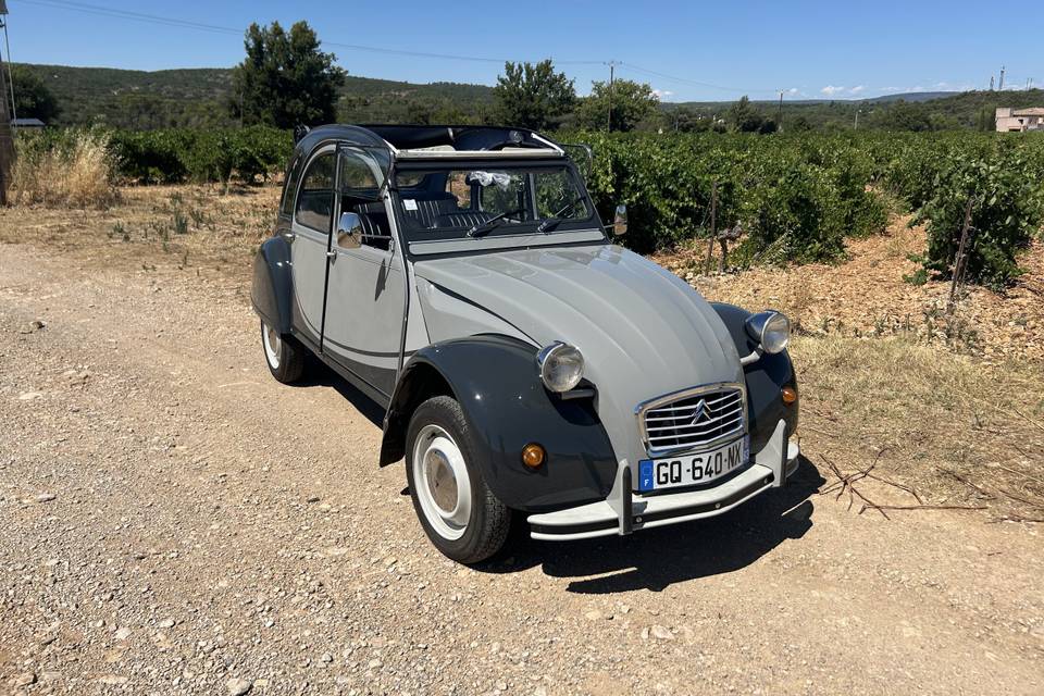 2cv