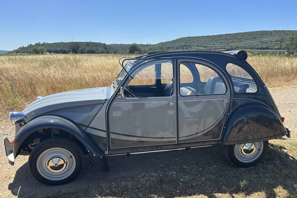 2cv