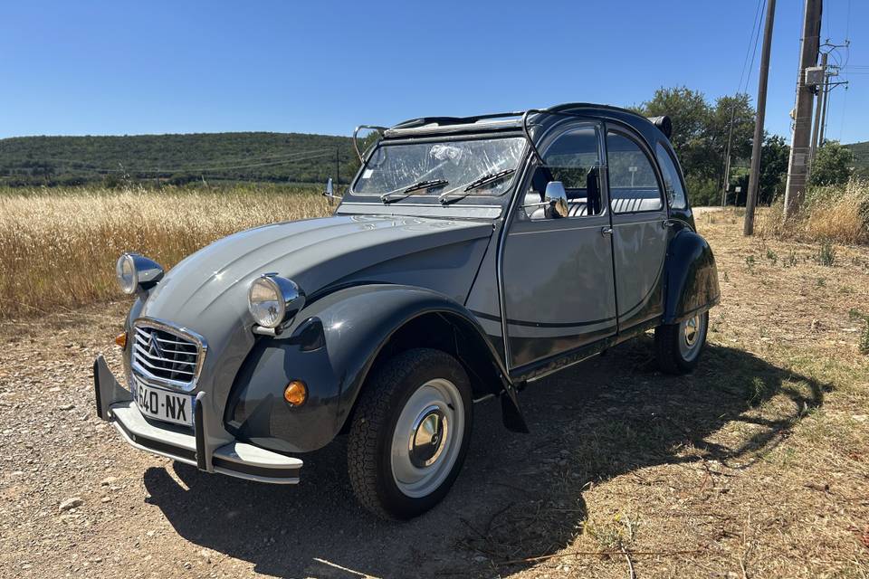 2cv