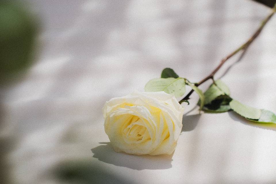 Photographe de mariage