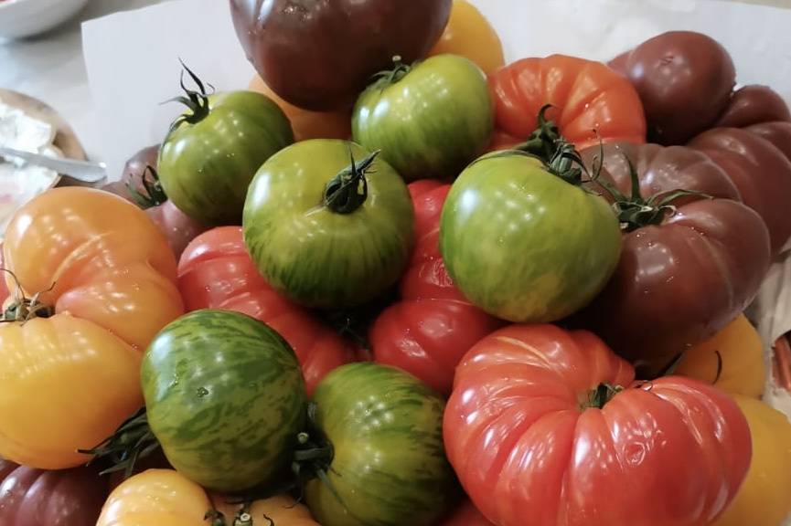 Bar à Tomates