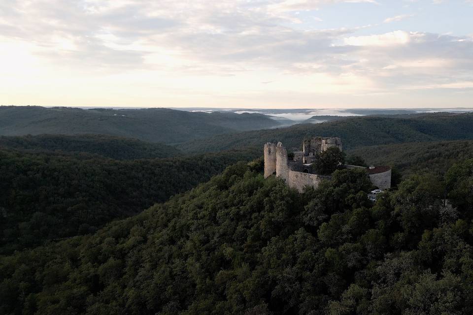 Château de Roussillon