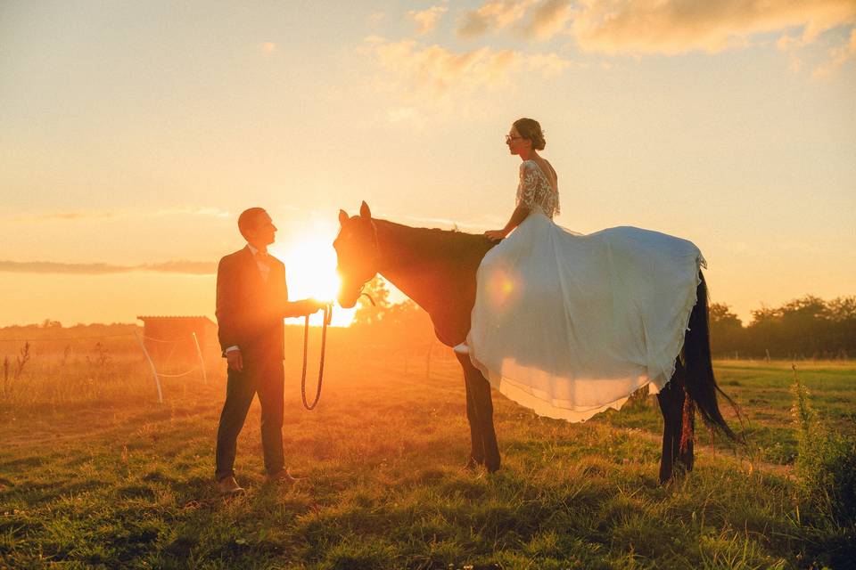 Beaujolais et cheval