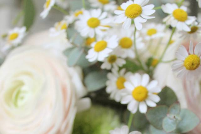 Murielle Photographie