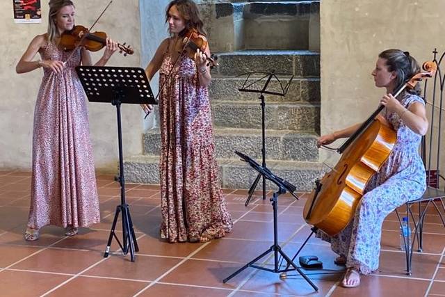 Flowers Trio à Cordes