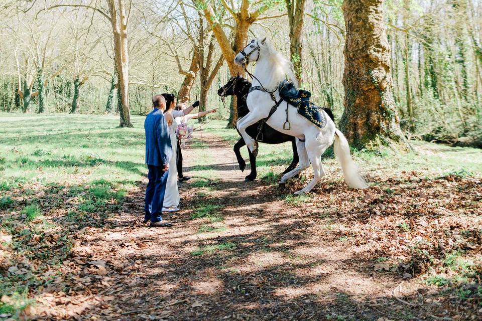 L’art de sublimer un mariage
