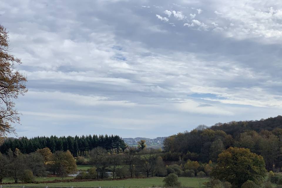 55 hectares