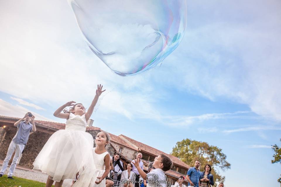 Bubble Show and Event