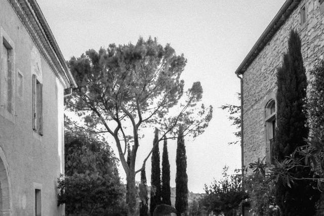 Photo - Le Blanc