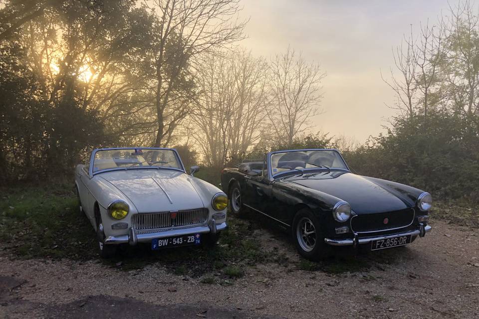 Duo de MG Midget