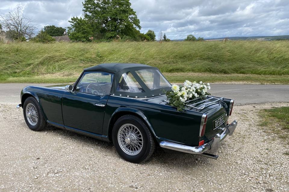 Tr4 green