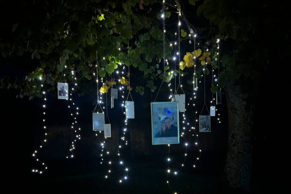 Illuminations