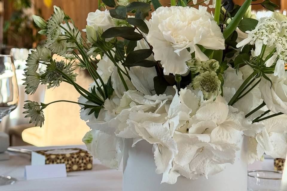 Stéphane Brassart Fleuriste