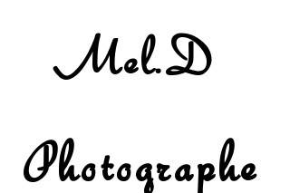 Logo Mel.D Photographe